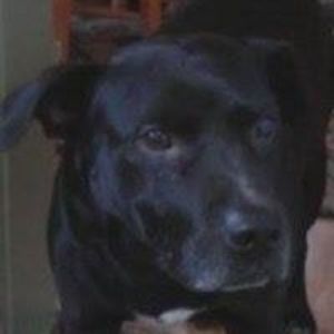 Meet your Posher, Mandy